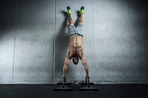 What is the Role of Testosterone For Men (And Women)
