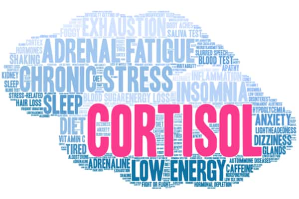 Cortisol is released in response to stress and triggers fat storage.