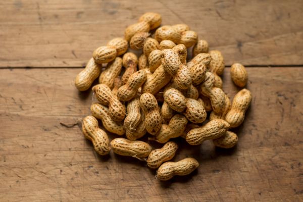 plant-based protein , types of Protein