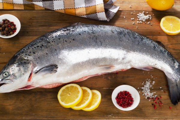 Atlantic Salmon