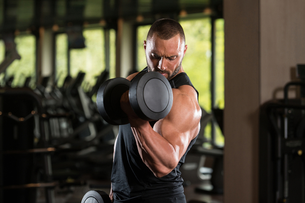 Benefits of Zottman Curls 