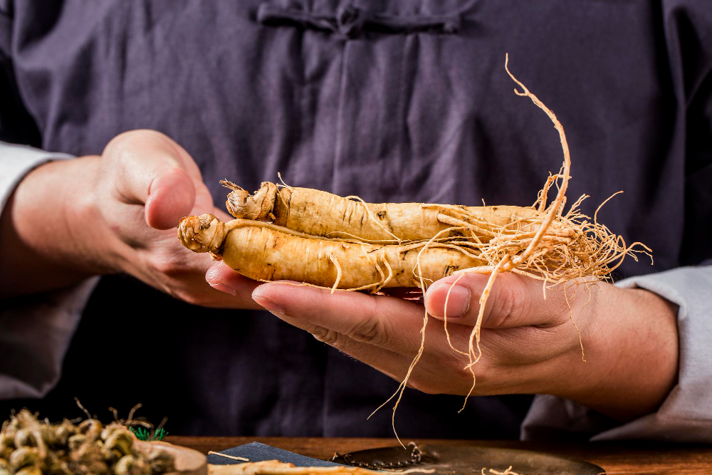 A Panax Ginseng On Hand