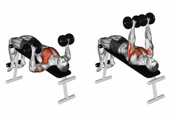 Decline Dumbbell Bench Press  