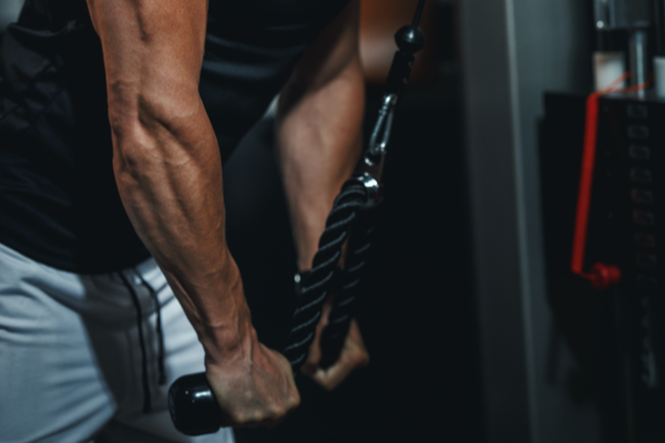 Forearm Pull 