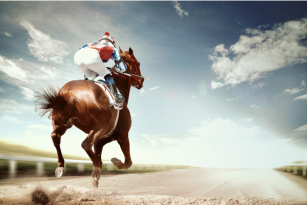 Horse Riding Step