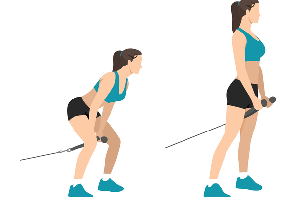 How to do a Cable Pull-Through Workout 