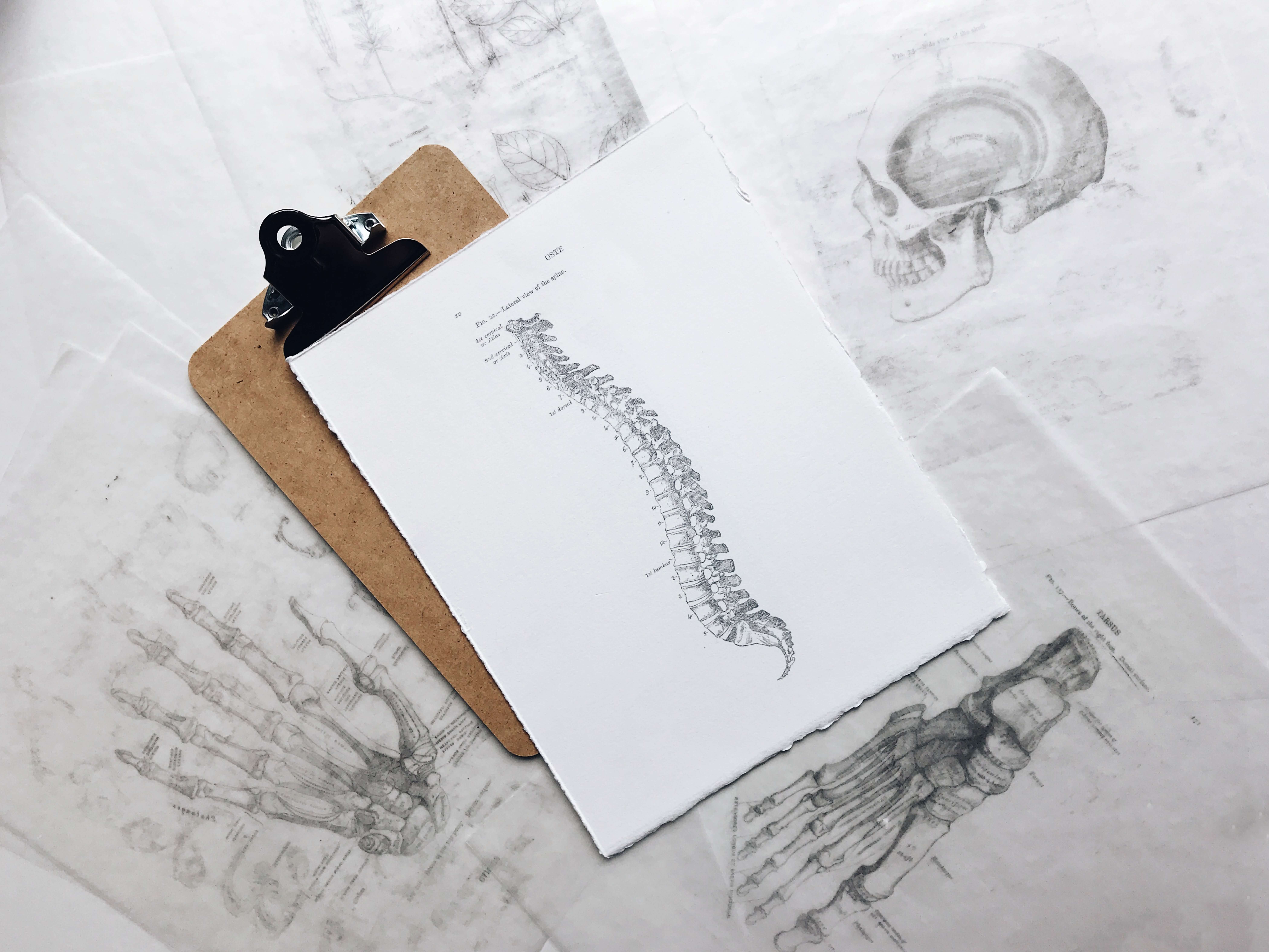causes of lower back pain