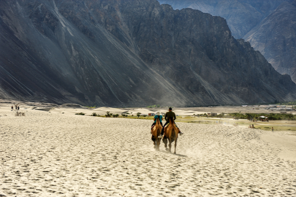 Ladakh for Horse Riding