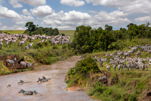 Maasai Mara, Kenya