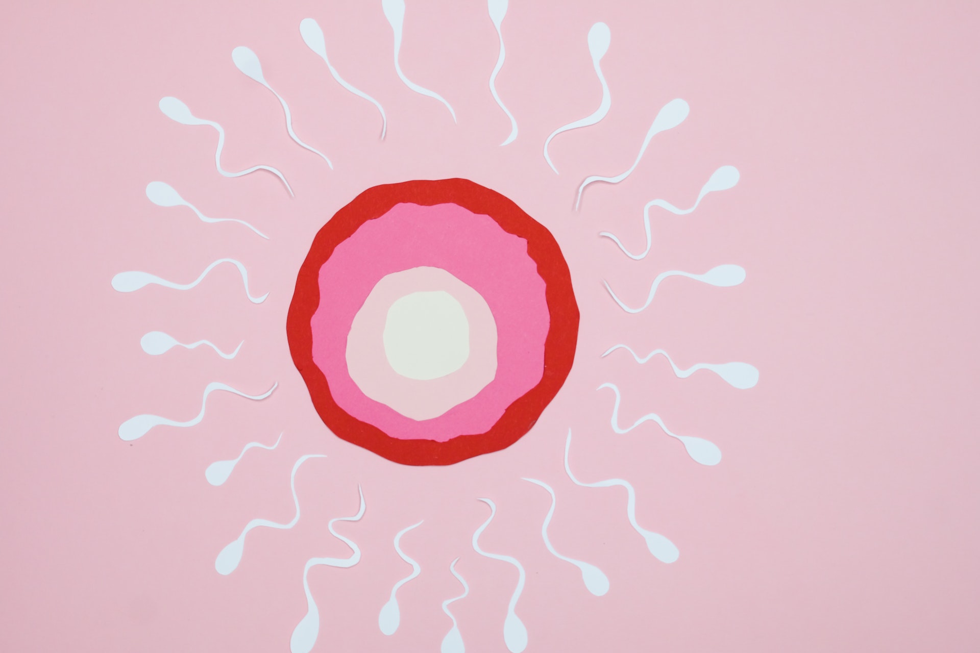 Low Sperm Count