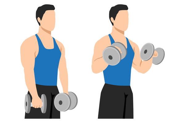 Reverse Zottman Curls