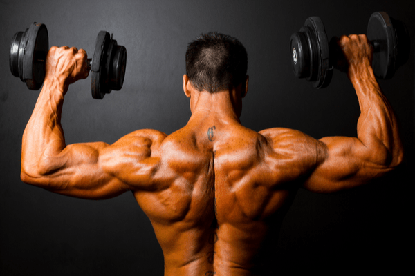 Learn how to train like joe bastardi