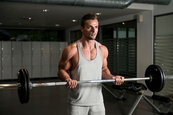 Straight barbell bicep curl