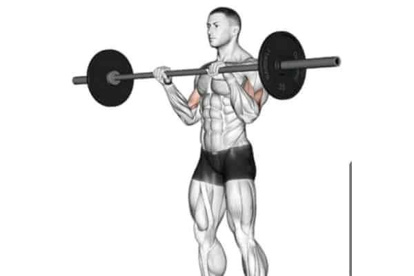 Reverse bicep curl