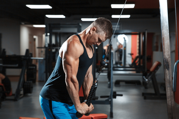 Triceps