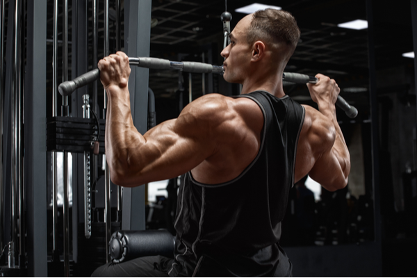 Triceps
