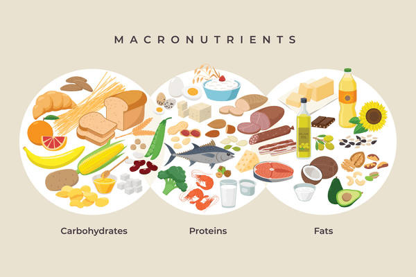 War of the Macros