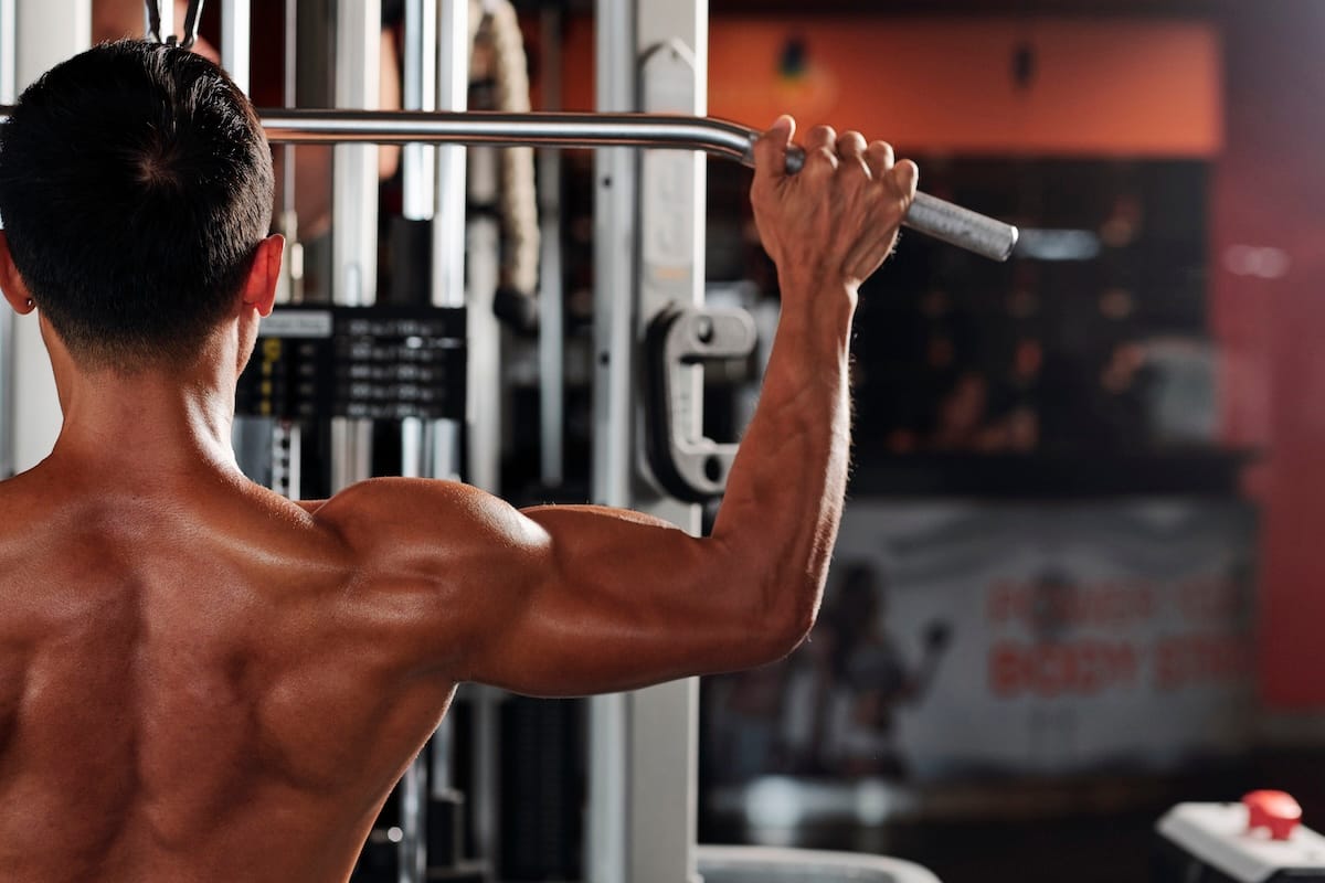 Best Back Workouts for Size, Strength & Posture
