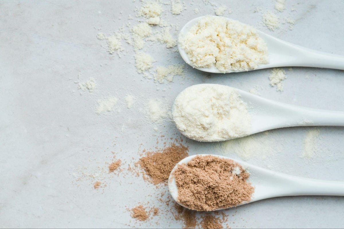 Best Proteins for Lactose Intolerance