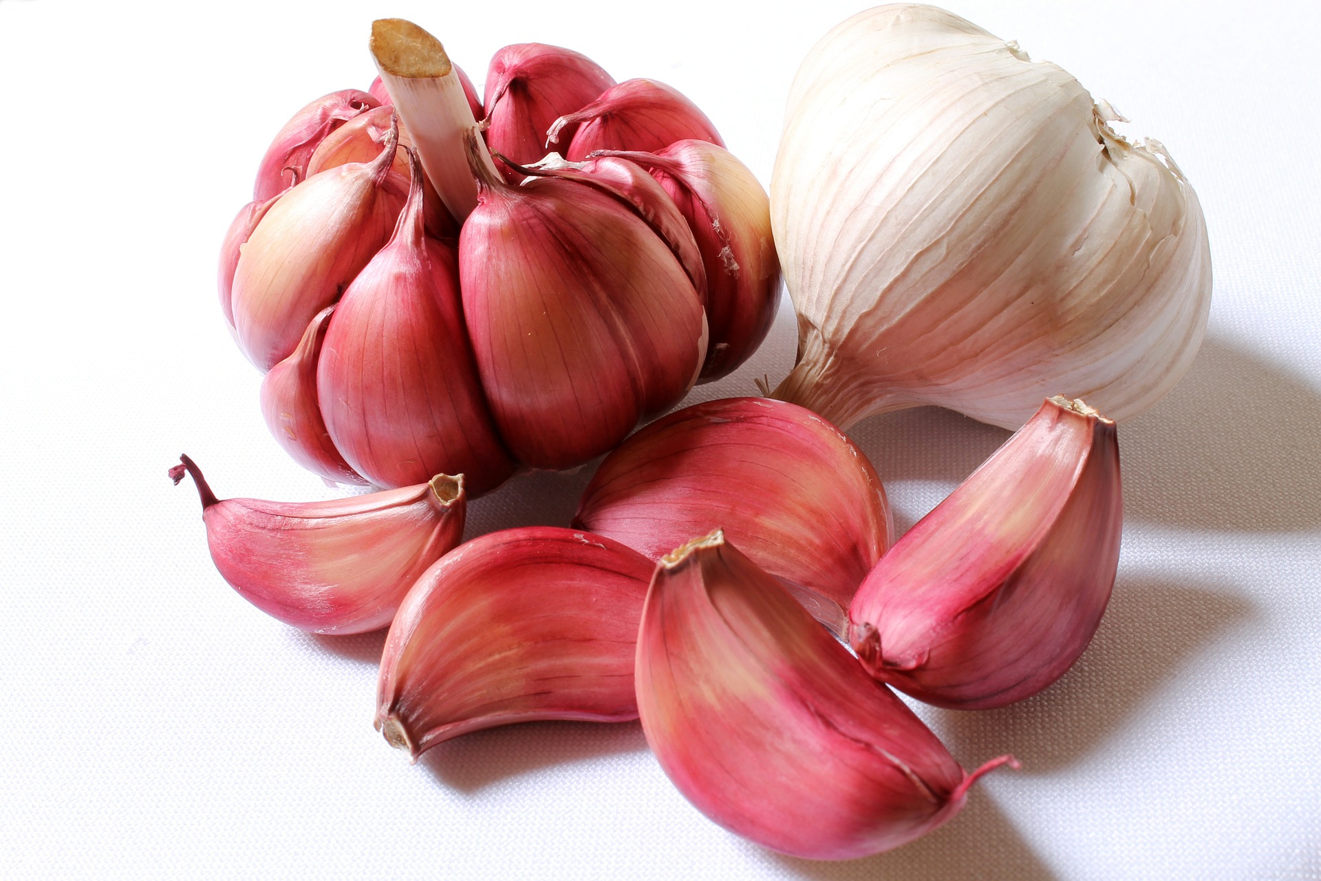 garlic-618400_1920