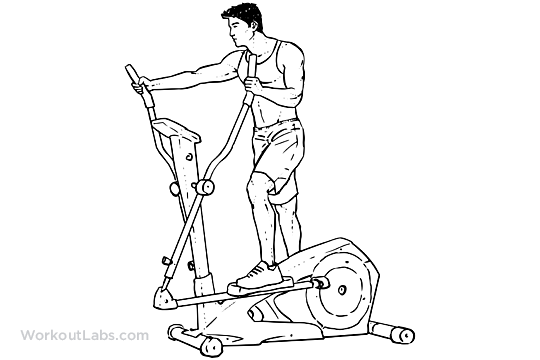 Cardio-Elliptical_Machine_M_WorkoutLabs