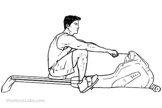 Cardio-Rowing_Machine_M_WorkoutLabs