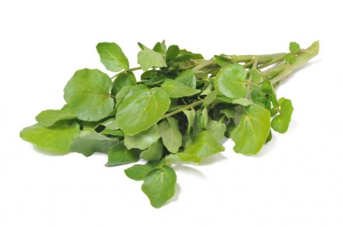 watercress1